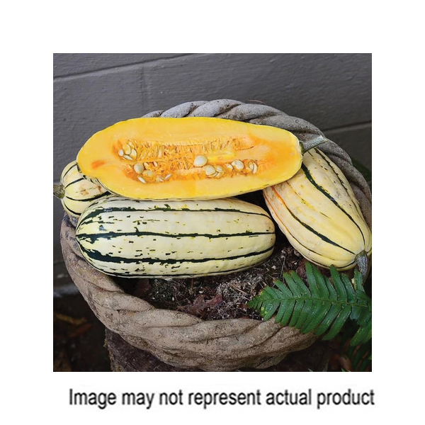 Territorial Seed SQ831/S