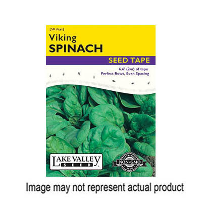 Lake Valley Seed 4559