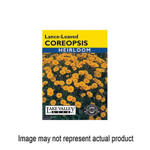 Lake Valley Seed 100 Flower Seed, Coreopsis, Coreopsis Lanceolata, Spring to Autumn Bloom, Yellow Bloom - 1