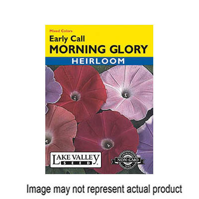 Lake Valley Seed 198