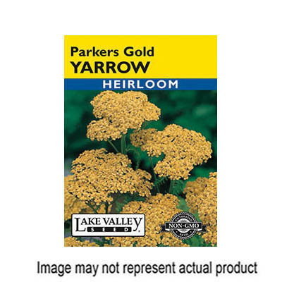 Lake Valley Seed 324 Flower Seed, Yarrow, Achillea Filipendulina, Parkers Gold Bloom - 1