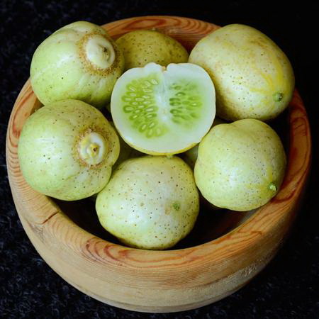 Vegetable Seed, Territorial Seed, Cucumber, Cucumis Sativus - 2