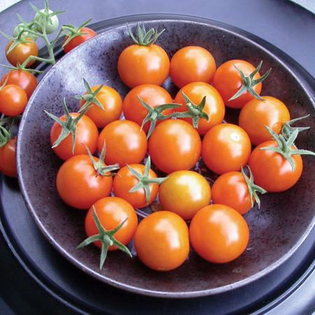 Vegetable Seed, Territorial Seed, Tomato, Lycopersicon Lycopersicum, June Planting - 3