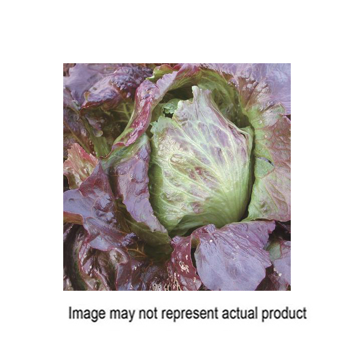 Territorial Seed 300162