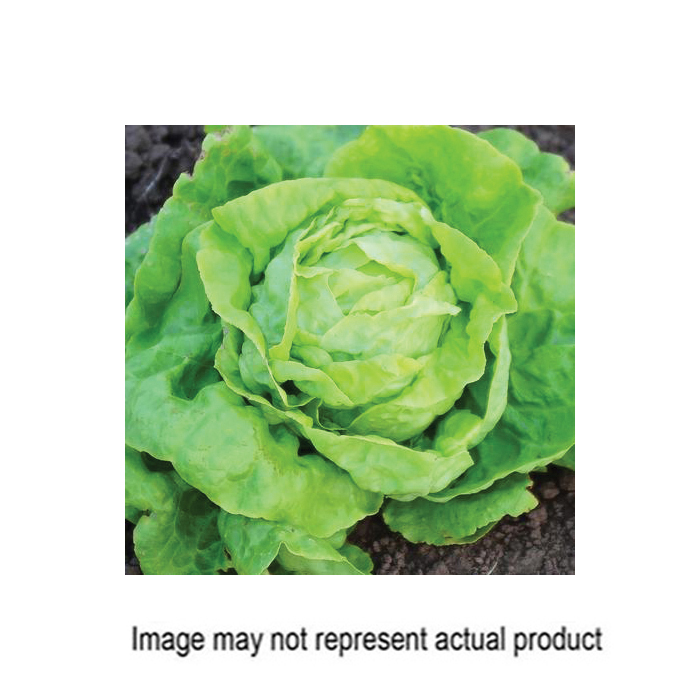 Territorial Seed 300164