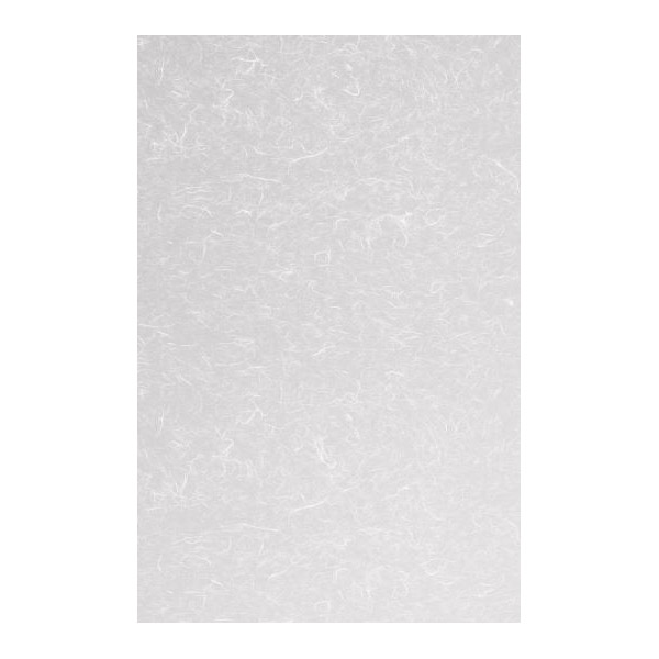 ARTSCAPE 01-0134 Window Film, 36 in L, 24 in W, Rice Paper Pattern, Clear - 2