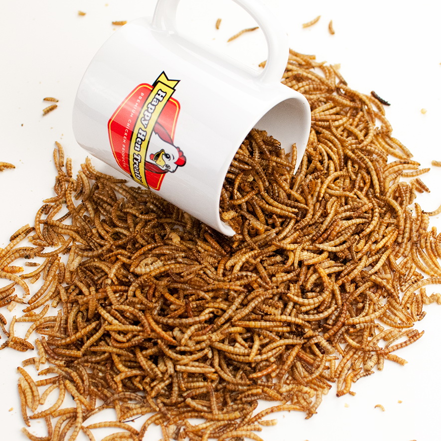 Happy Hen Treats Mealworm Frenzy 17006 Poultry Treat, 5 lb
