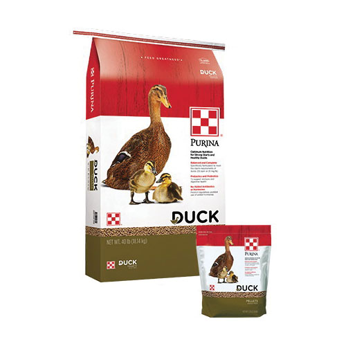Purina 3004428-246