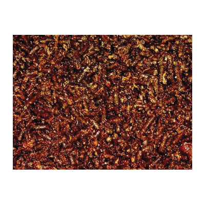 Triple Crown 7137-50