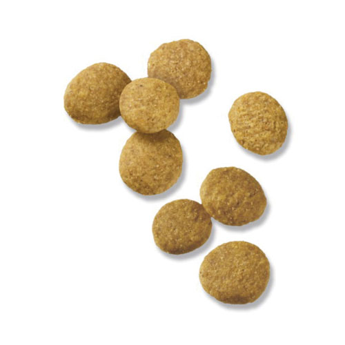 Purina 381421