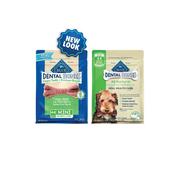 blue dental bones mini
