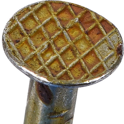 Hillman 42036 Nail, 8D, 2-1/2 in L, Steel, Cement-Coated, Flat Head, Smooth Shank, Gold, 75 PK