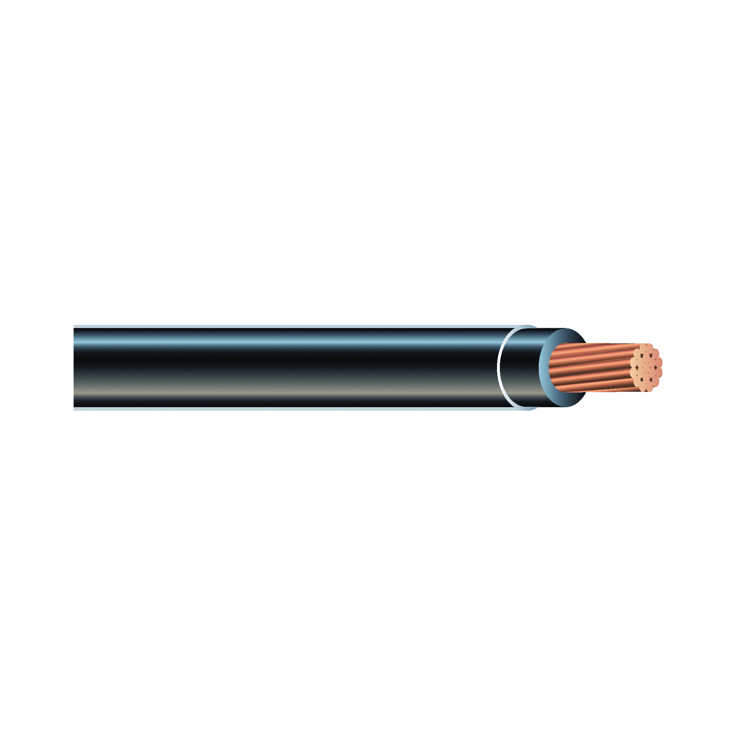 Southwire 22964183 Series Building Wire, Black Sheath, 12 AWG Wire, 1-Conductor, 50 ft L, Copper Conductor