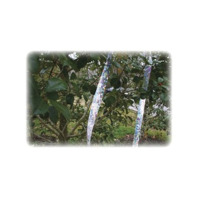 Holographic Scare Tape, Dalen, for Birds, 3/4in W x 100ft L Roll - 2