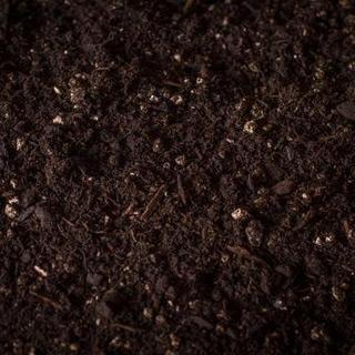 Potting Soil, Rexius Forest Products, 2 cu-ft - 1