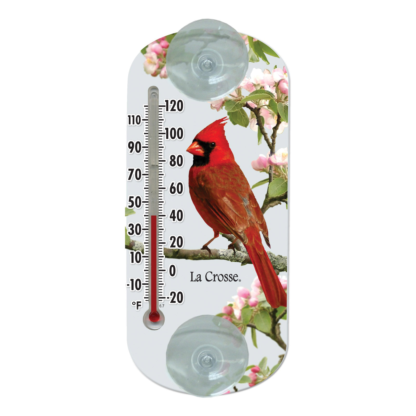 204-1081 Thermometer, -20 to 120 deg F, Resin Casing