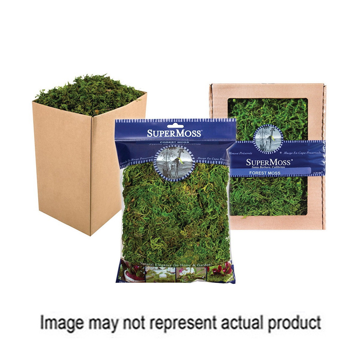 SuperMoss 25320 Preserved Forest Moss, Green, 2 oz Bag