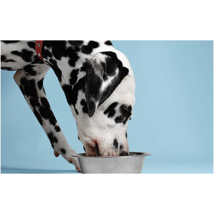 Nutro Wholesome Essentials 10123053 Dog Food, Brown Rice, Chicken, Sweet Potato, Adult, Dry, 30 lb