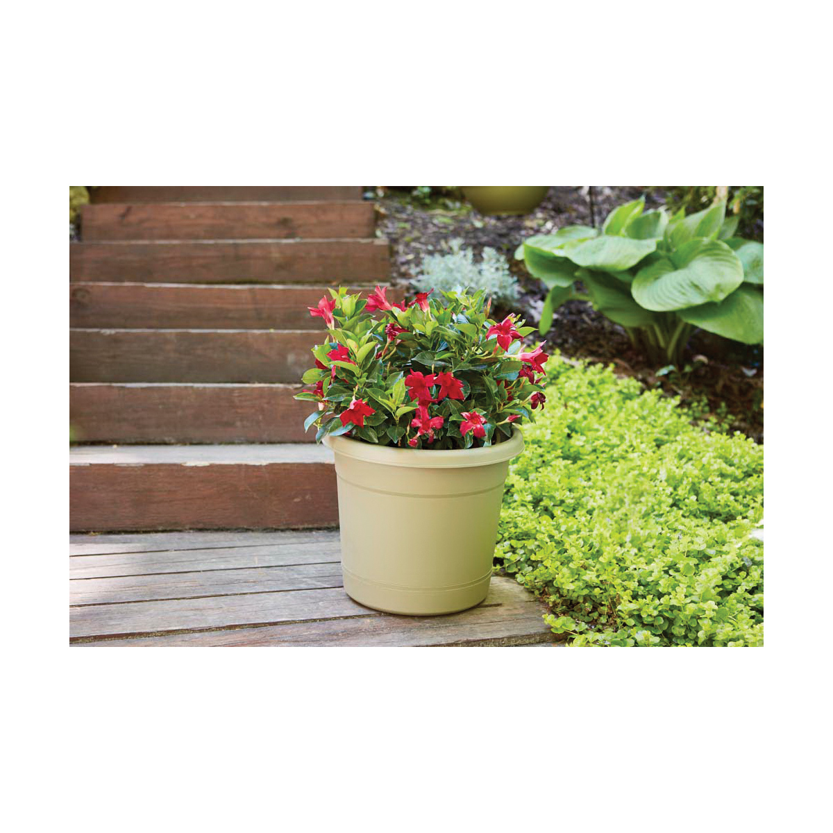 Southern Patio RR1212OG Planter, 13-5/8 in Dia, 11.4 in H, Dynamic Design, Polyresin, Olive Green, Gloss