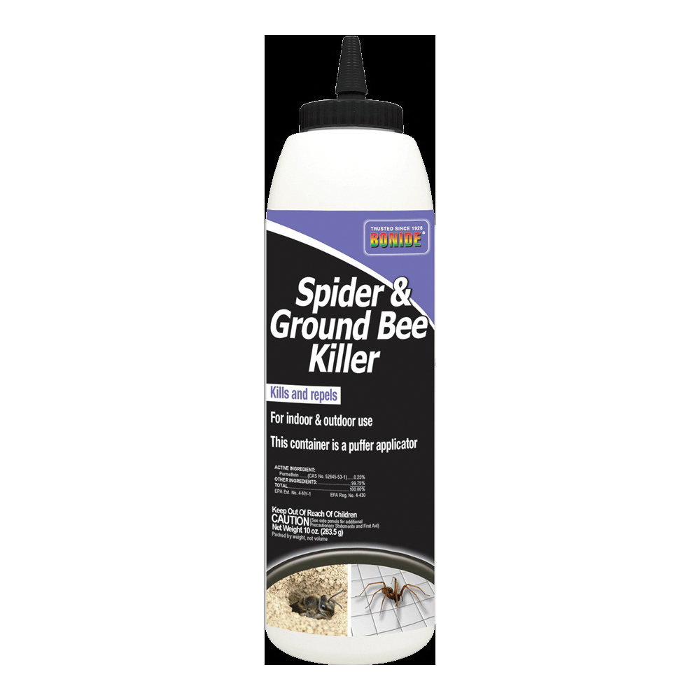 B70 363 Spider and Ground Bee Killer, Solid, Indoor, Outdoor, 10 oz Container