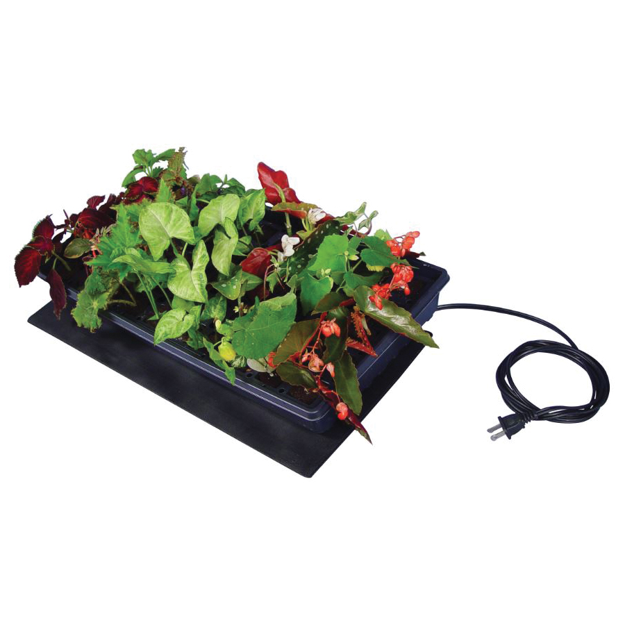 Super Sprouter Y03 726695 Seedling Heat Mat, 21 in L, 10 in W, 120 V - 3