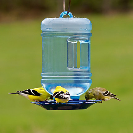 Perky-Pet 780 Bird Waterer, 1.5 qt Volume, Plastic, Blue, Hanging Mounting