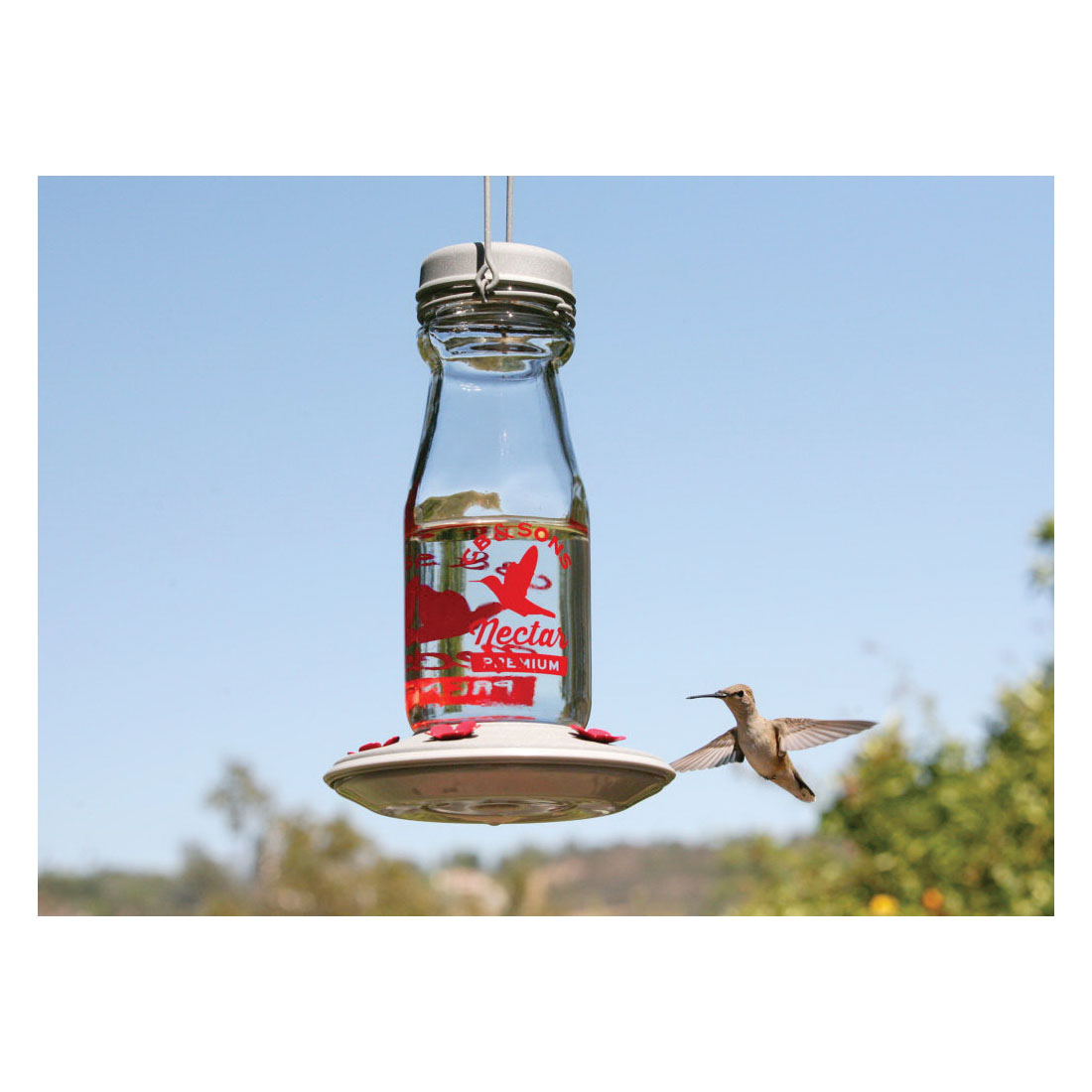 Classic Brands 67 Bird Feeder, 18 oz, 5-Port/Perch, Glass/Metal, 9.7 in H
