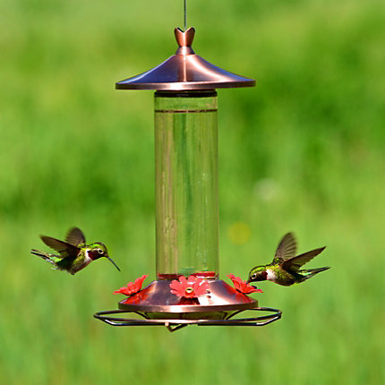 Perky-Pet 710B Bird Feeder, 12 oz, 4-Port/Perch, Glass, Copper, 15-1/2 in H, Hanging Mounting