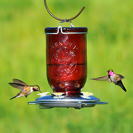Perky-Pet 786 Bird Feeder, 32 oz, 5-Port/Perch, Glass, Red, 8-1/2 in H, Hanging Mounting