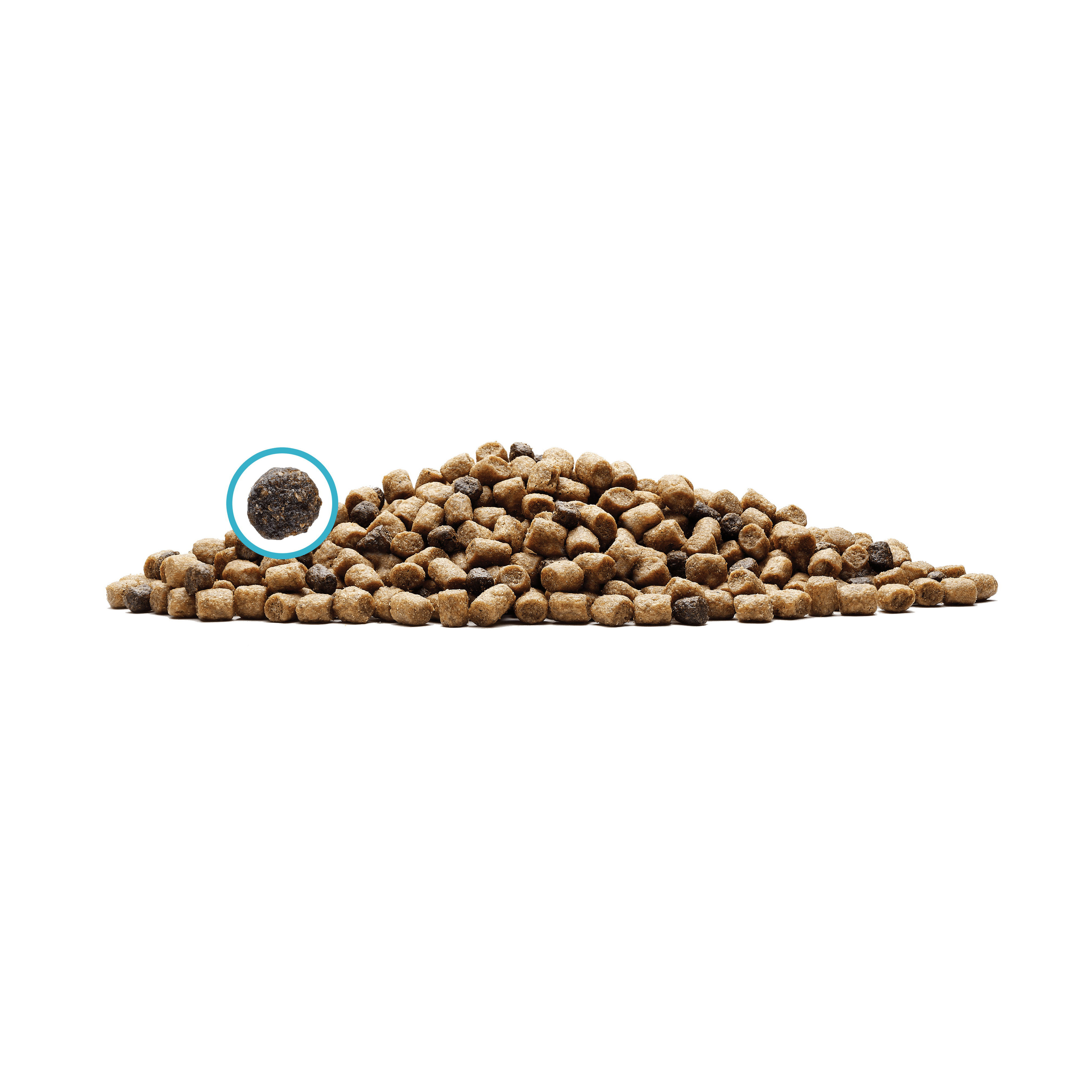 Blue Buffalo 596186 Cat Food, Chicken Flavor, 5 lb Bag