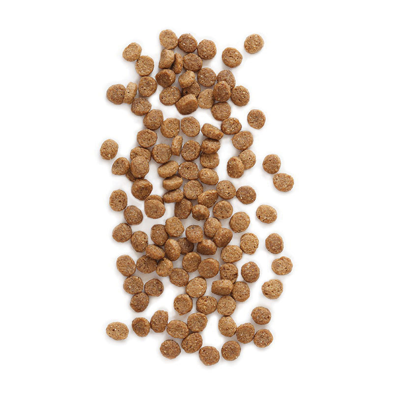 Earthborn Holistic Feline Vantage 1710616 Cat Food, 14 lb