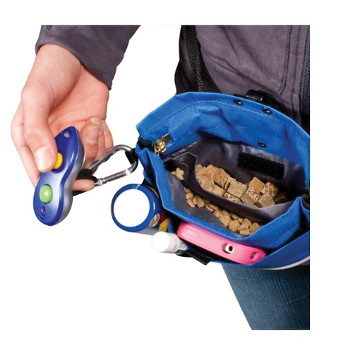 PetSafe PTA00-13748 Sport Treat Dog Pouch, Black