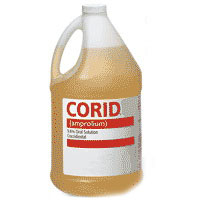 CORID 23101-A