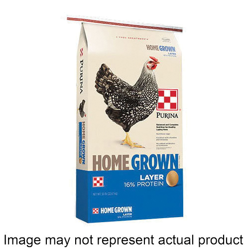 NoImage