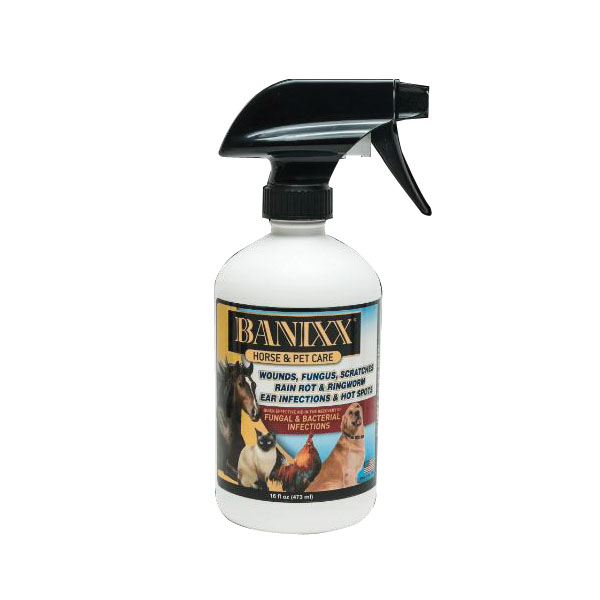 Banixx 2005