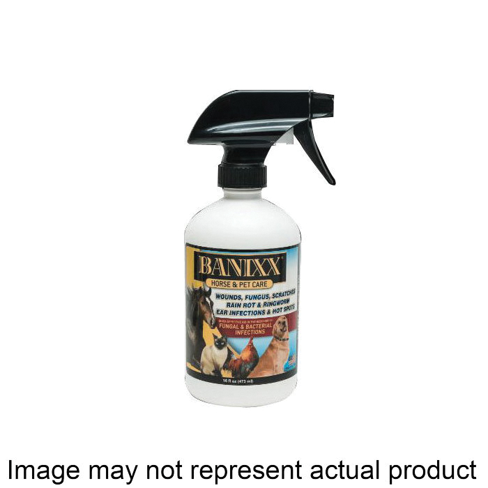 BANIXX 2005