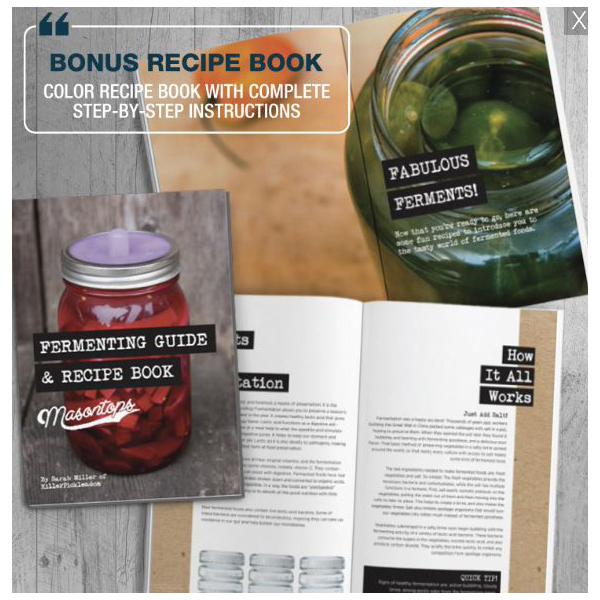 Masontops CFK9W Fermentation Kit, Glass/Silicone/Wood, Clear, 9-Piece