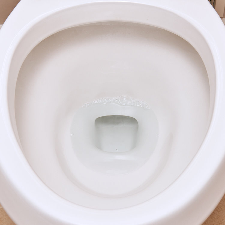 Brillo SNO BOL 13008 Toilet Bowl Cleaner, 16 oz, Liquid, Wintergreen, Blue/Clear - 3