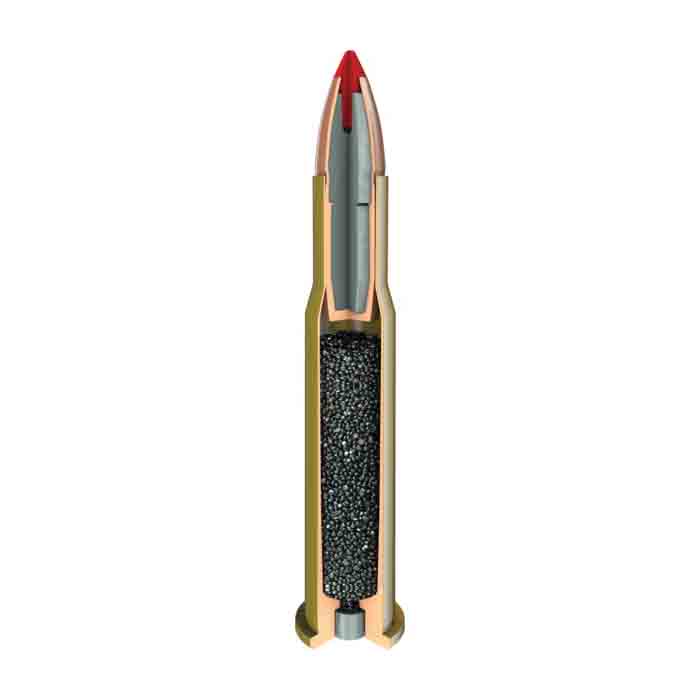 Hornady LEVERevolution FTX Series 82747 Ammo, 45-70 Government, 325 Grains, 20 Rounds, Brass