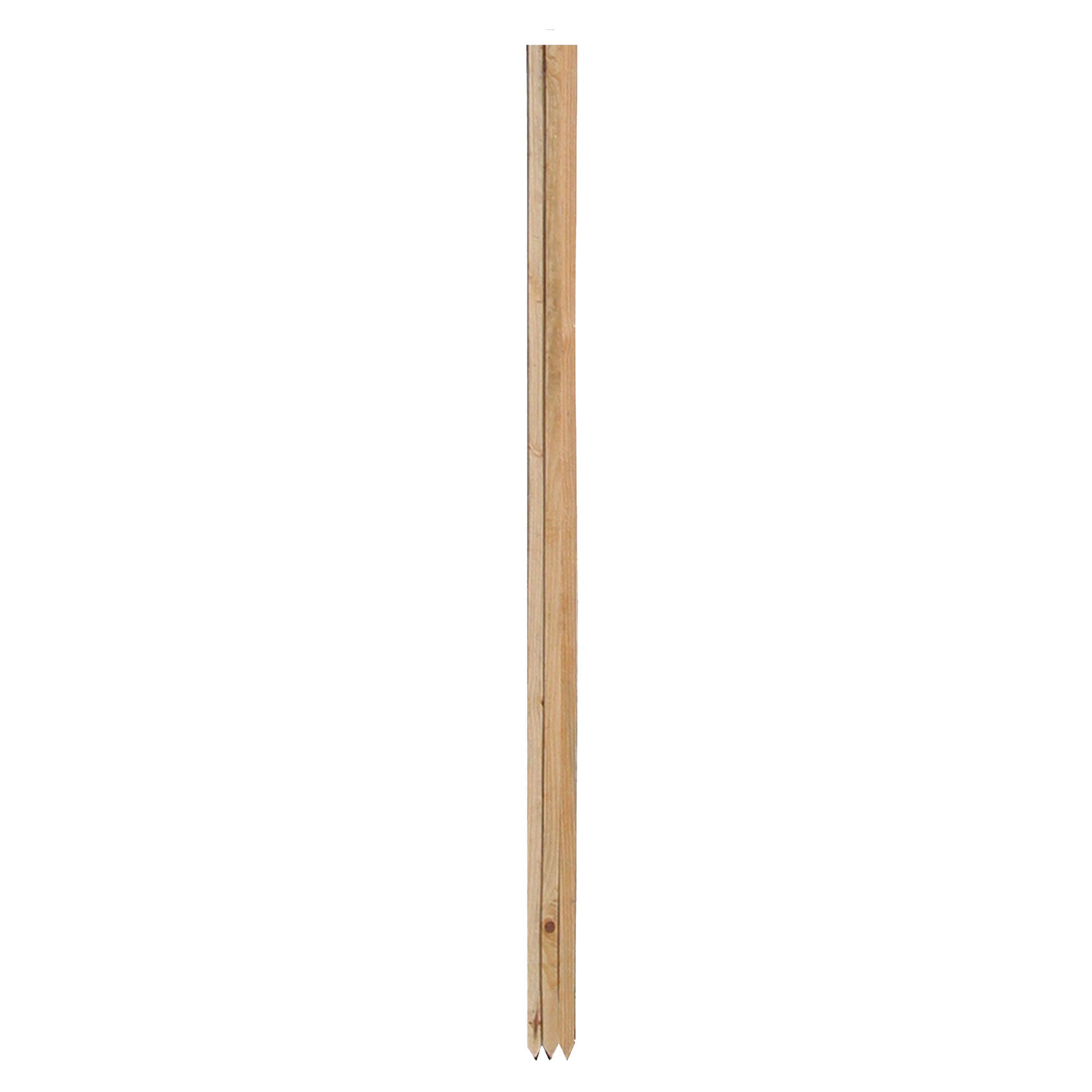 Gardener's Blue Ribbon WW3-1 Garden Stake, 3 ft L, Wood