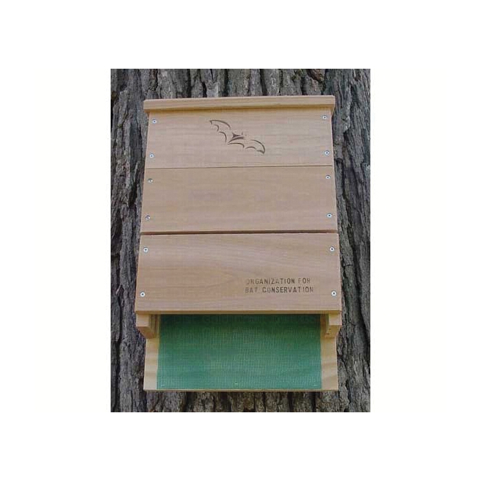 Songbird ESSENTIALS SE521