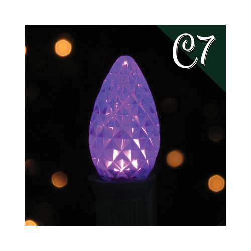 Replacement Light Bulbs, Holiday Bright Lights, LED Lamp, Purple, 60,000 hr Average Life, 25 pk - 2
