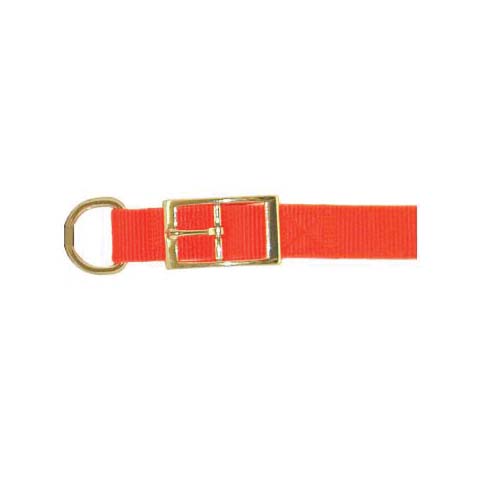 2052124 Dog Collar, 21 in L, 1 in W, Nylon, Orange