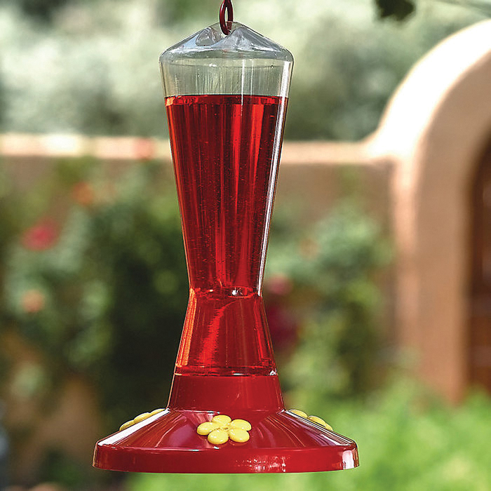 Image not found