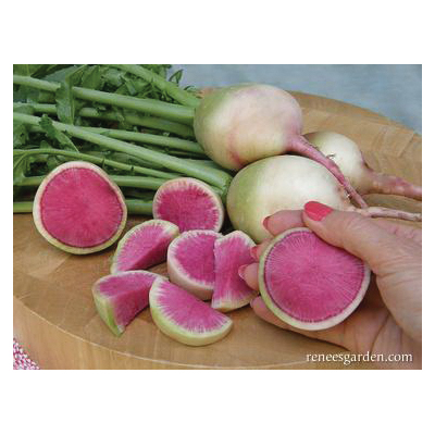 Renee's Garden 5866 Watermelon Vegetable Seed, Radish, June to July, June to August Planting Pack - 2
