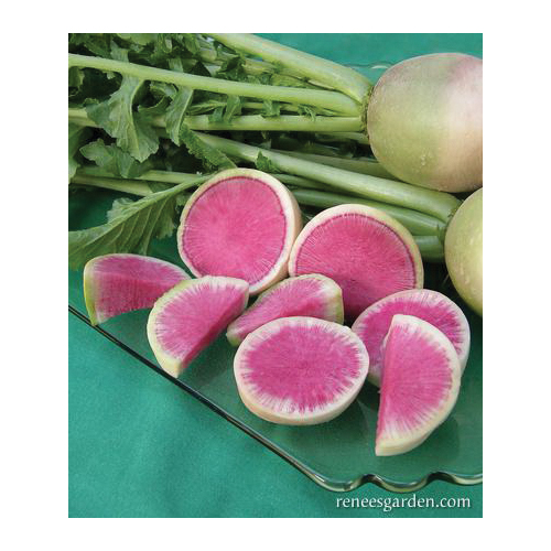 Renee's Garden 5866 Watermelon Vegetable Seed, Radish, June to July, June to August Planting Pack - 3