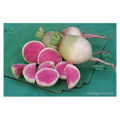 Renee's Garden 5866 Watermelon Vegetable Seed, Radish, June to July, June to August Planting Pack - 5