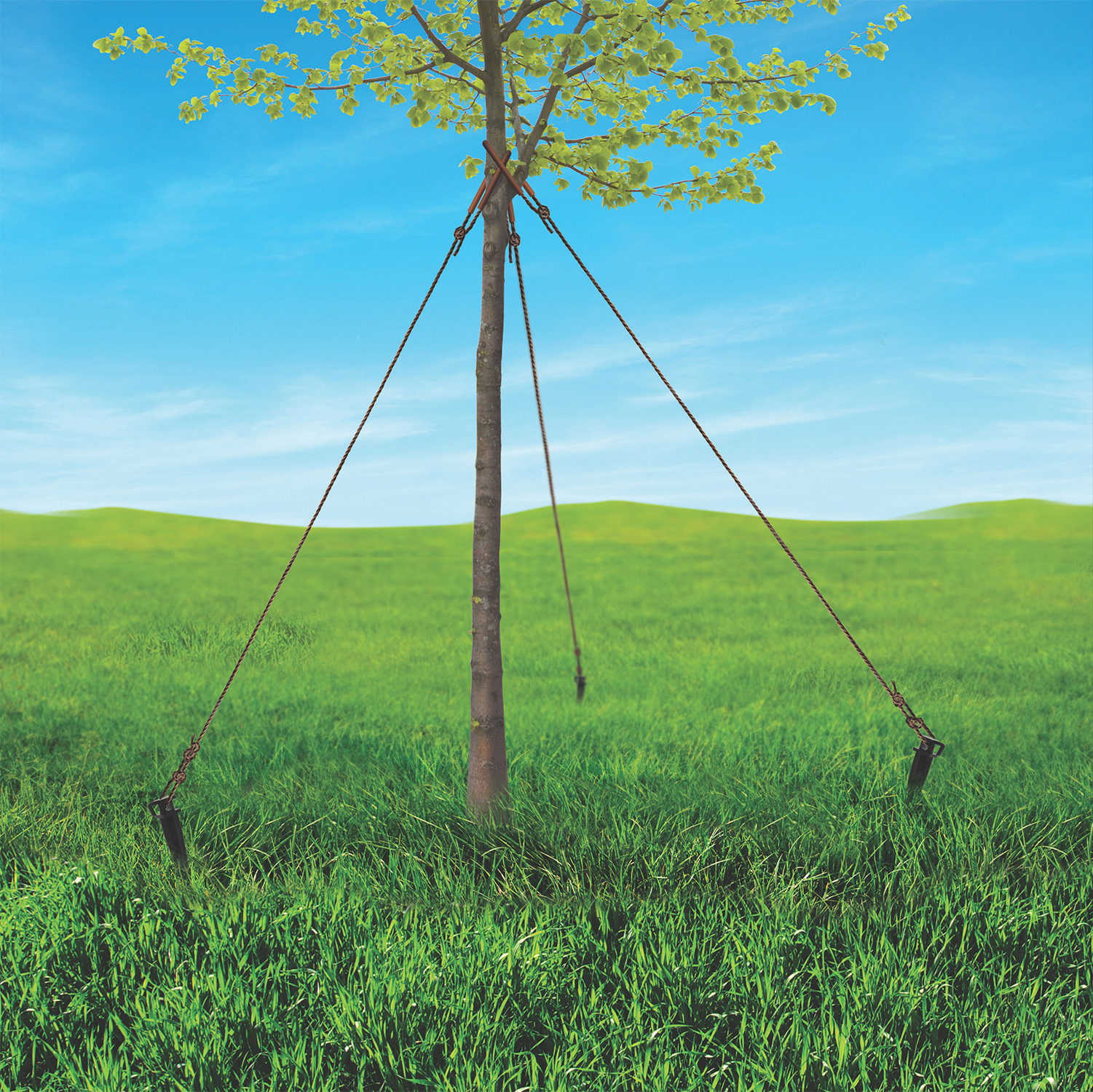 Bond 658 Tree Staking Kit - 2