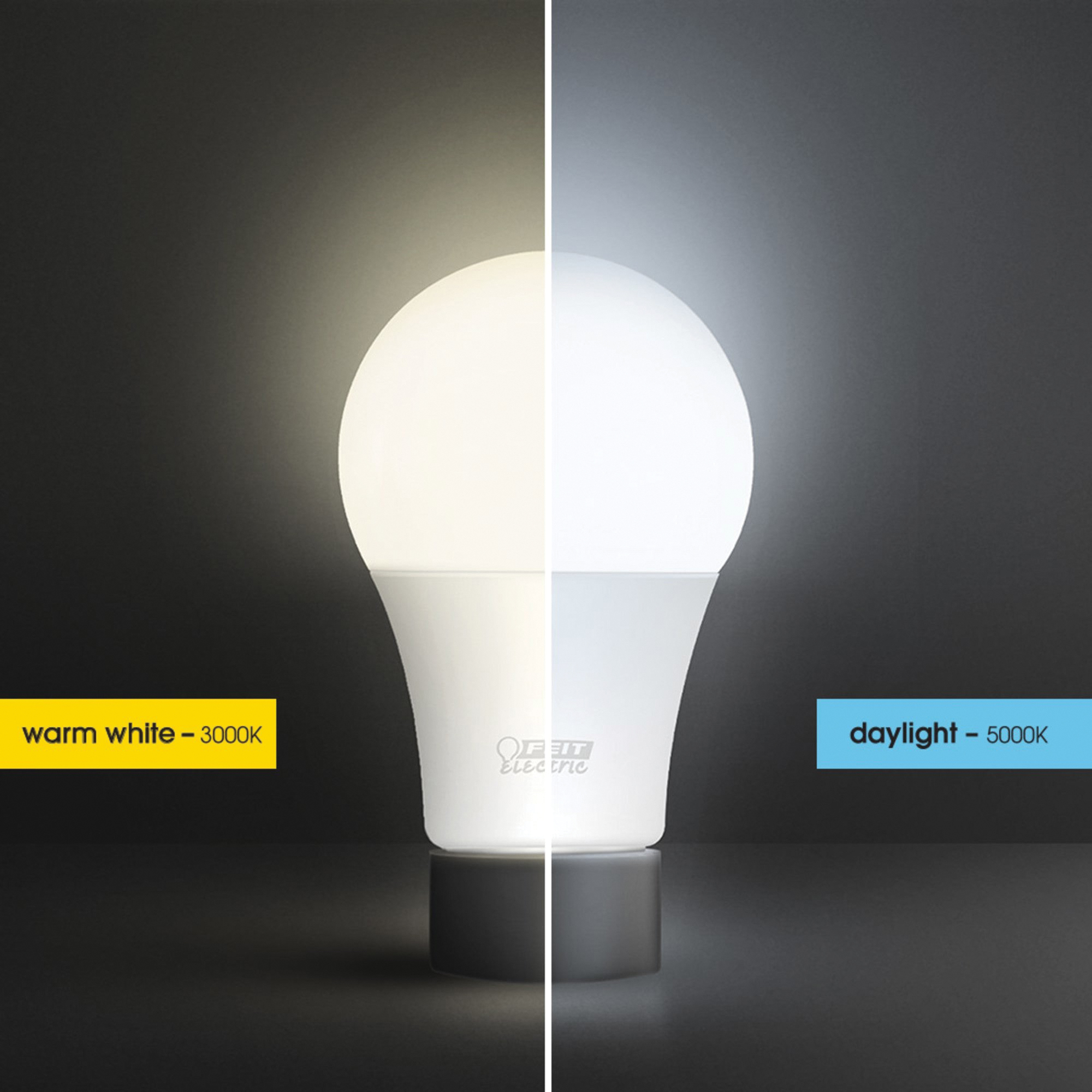 Feit Electric A800/850/10KLED/10 LED Bulb, General Purpose, 800 Lumens, 10 W, A19 Lamp, 60 W Equivalent, E26 Lamp Base