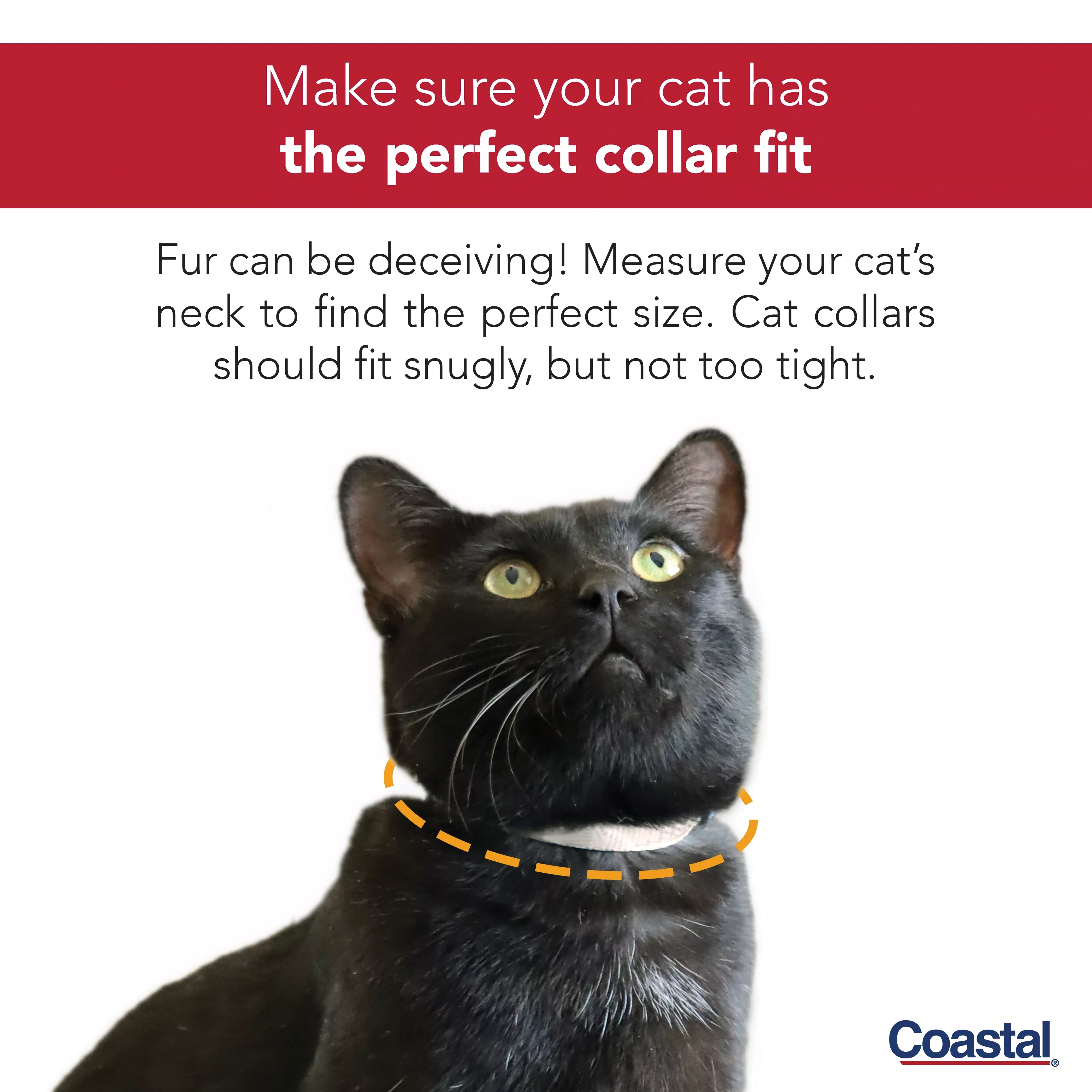 Safe Cat 07001 A RED12 Breakaway Collar, 3/8 in W Collar, 8 to 12 in L Collar, Fastening Method: Buckle, Nylon, Red